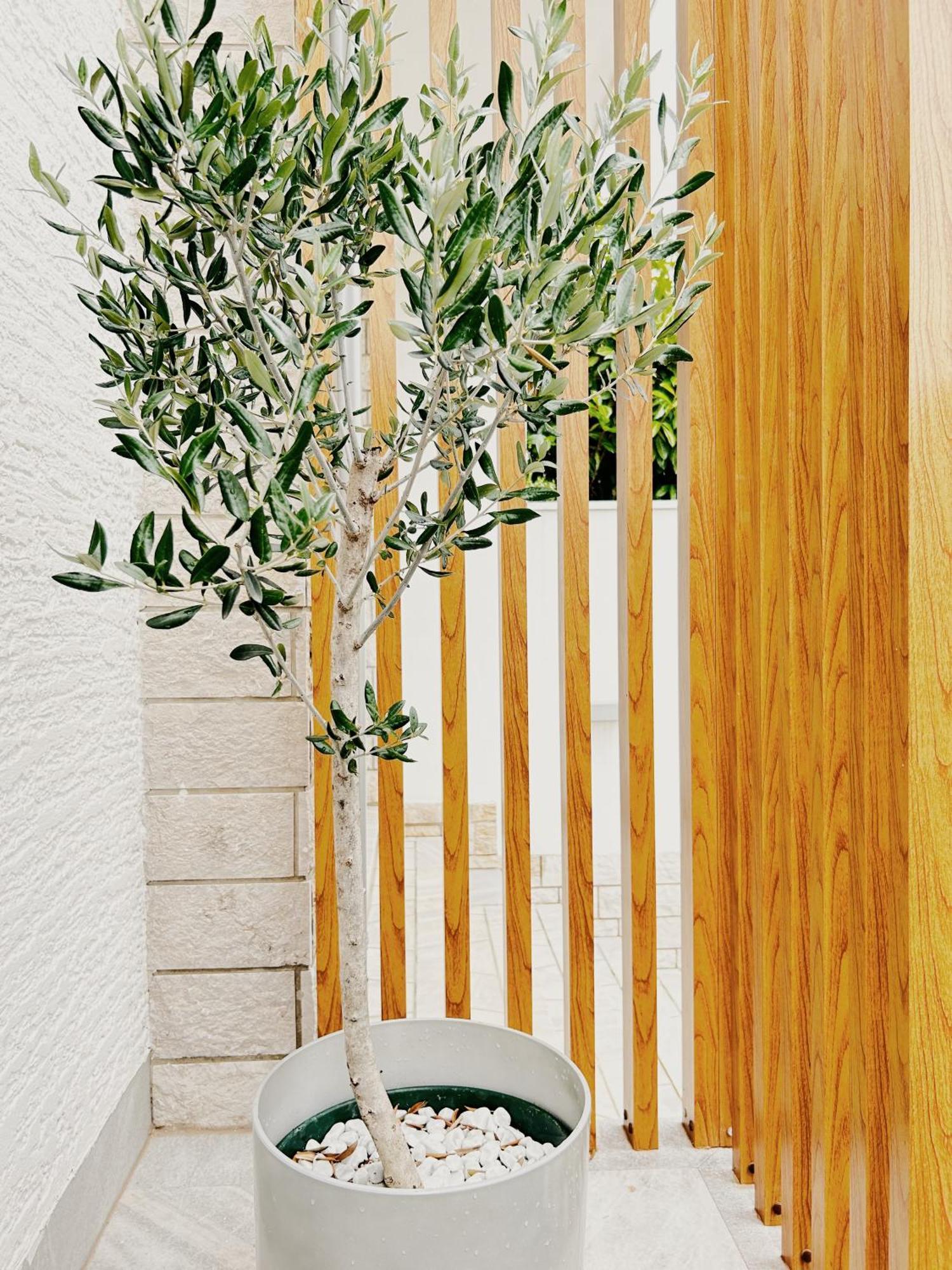 Appartamento Sunny House Zambratija  Esterno foto